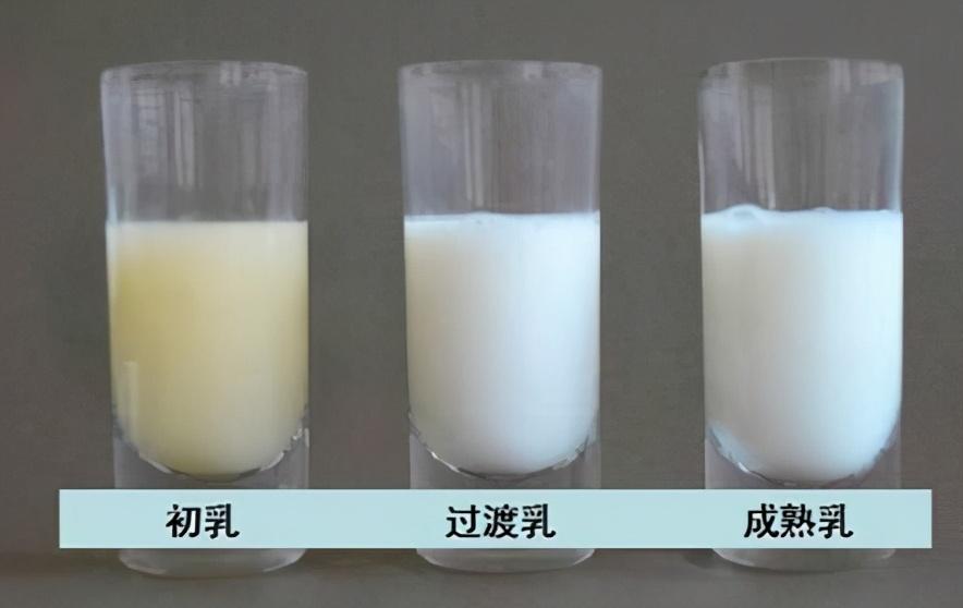 25d2bb1fd12d4a7eafcffd9c31d23016_noop.jpg 25d2bb1fd12d4a7eafcffd9c31d23016_noop.jpg