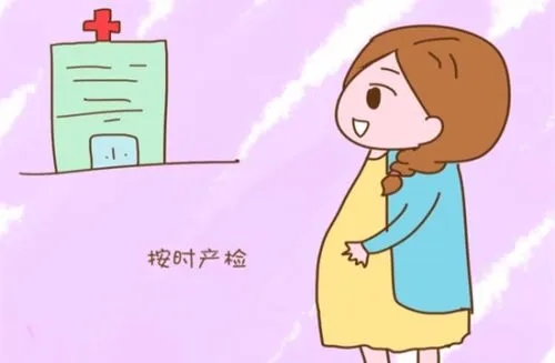 12131964694019386047253138.jpg 12131964694019386047253138.jpg